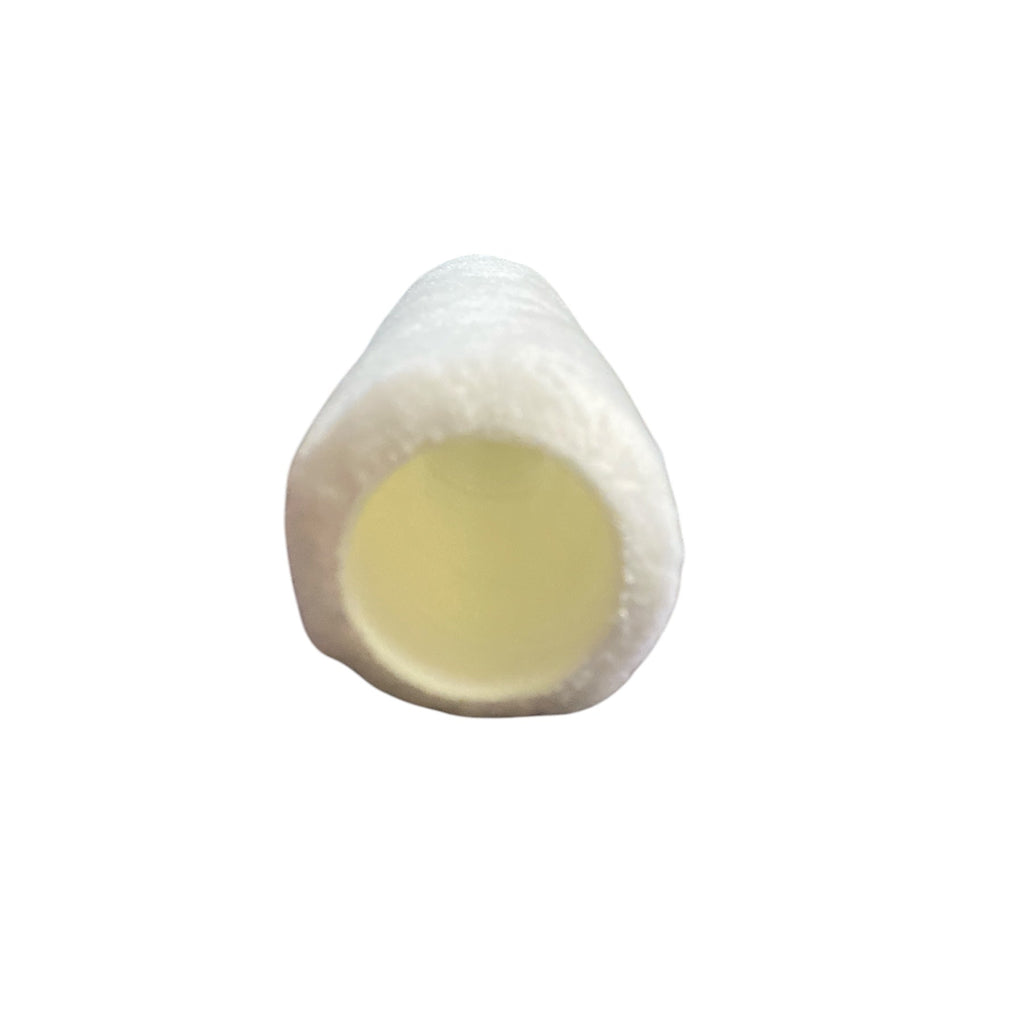 Triangular shell with a smooth surface on a white background