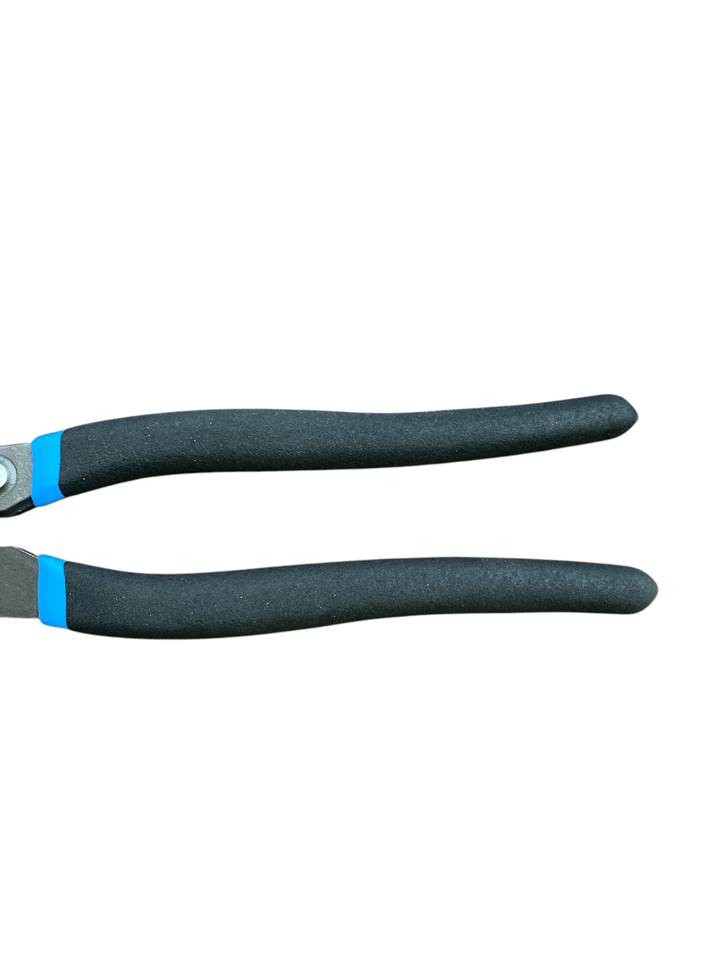 Pair of garden pruners with black handles and blue accents on a white background