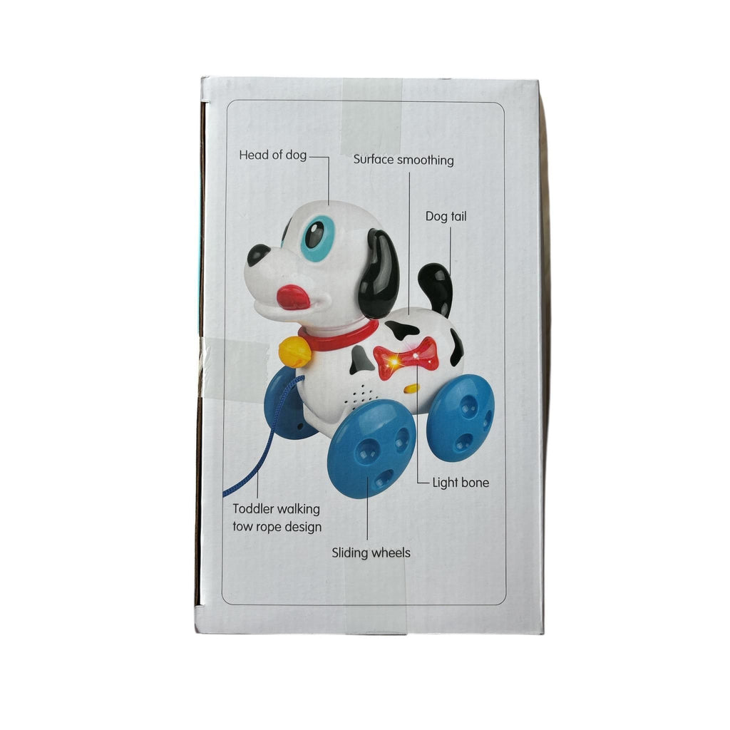 Cardboard box with a toy dog illustration and feature labels on a white background